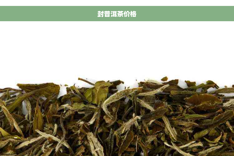 封普洱茶价格