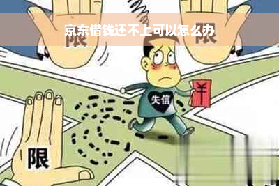 京东借钱还不上可以怎么办