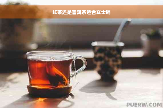 红茶还是普洱茶适合女士喝