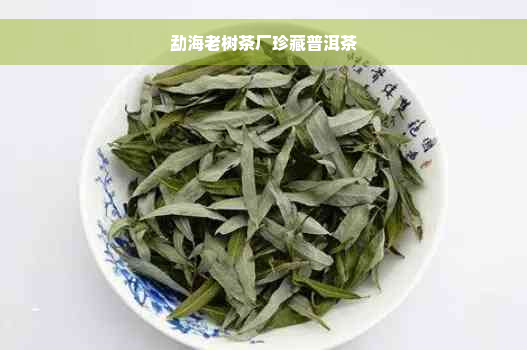 勐海老树茶厂珍藏普洱茶