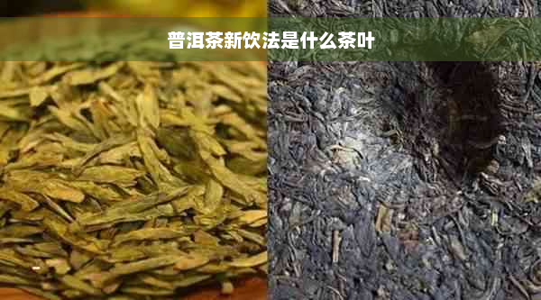 普洱茶新饮法是什么茶叶