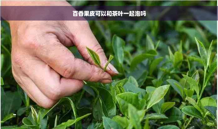 百香果皮可以和茶叶一起泡吗