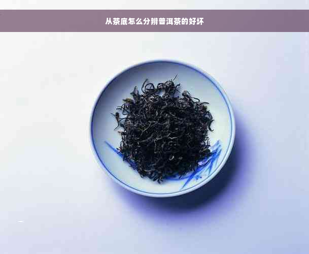 从茶底怎么分辨普洱茶的好坏