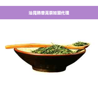 汕尾熟普洱茶加盟代理