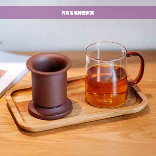 养胃喝哪种普洱茶