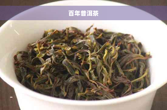 百年普洱茶