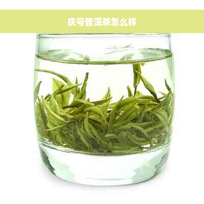 庆号普洱茶怎么样