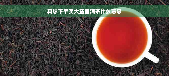 真想下手买大益普洱茶什么意思