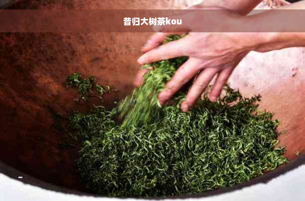 昔归大树茶kou