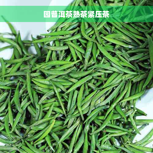 园普洱茶熟茶紧压茶