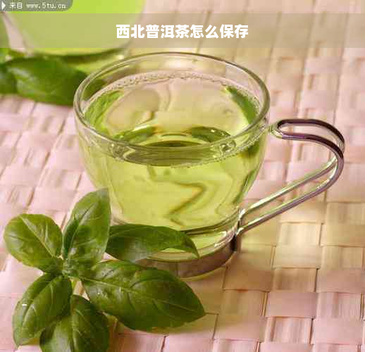 西北普洱茶怎么保存