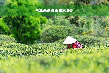 普洱茶进藏茶要求多少