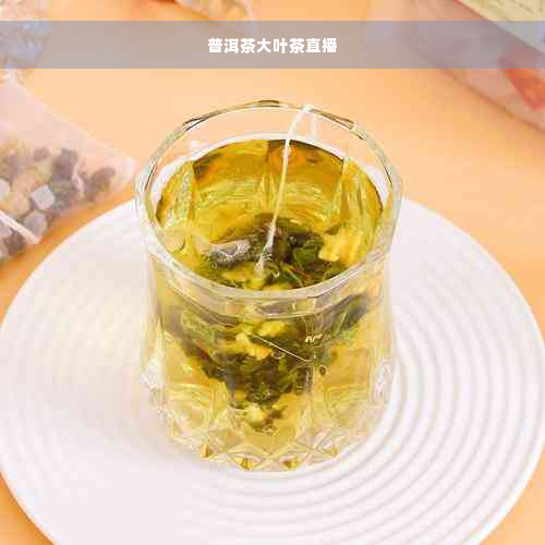 普洱茶大叶茶直播