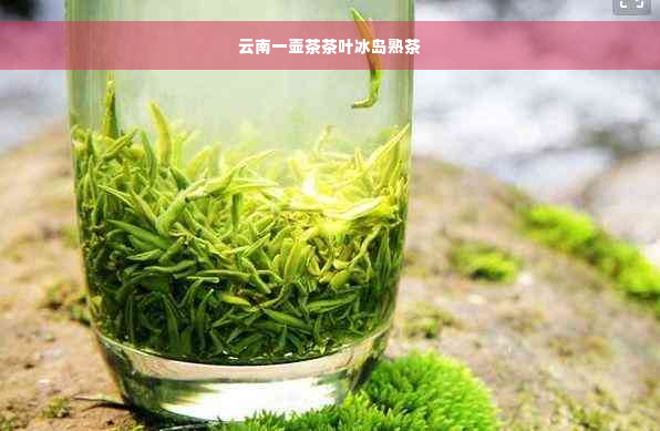 云南一壶茶茶叶冰岛熟茶