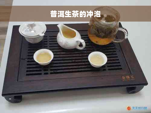 普洱生茶的冲泡