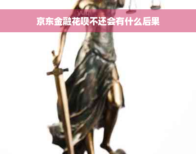 京东金融花呗不还会有什么后果