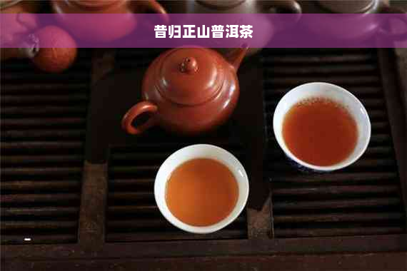 昔归正山普洱茶