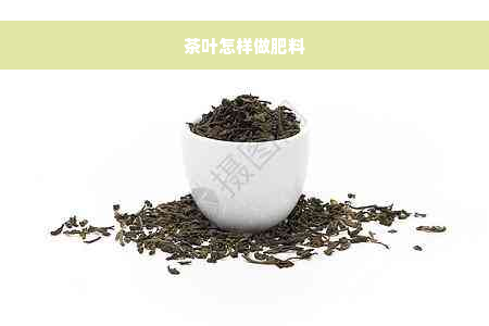 茶叶怎样做肥料