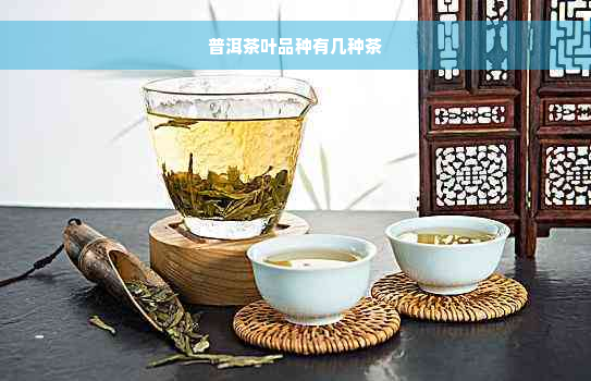 普洱茶叶品种有几种茶