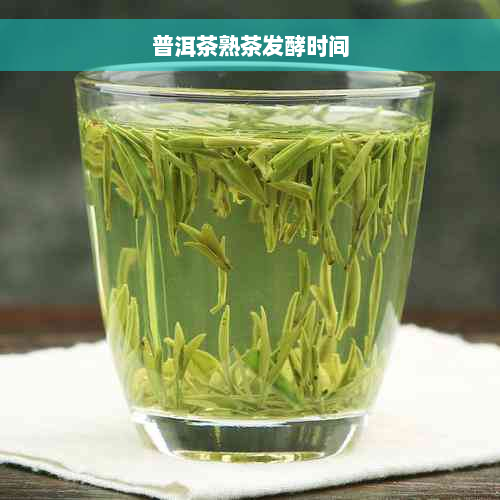 普洱茶熟茶发酵时间