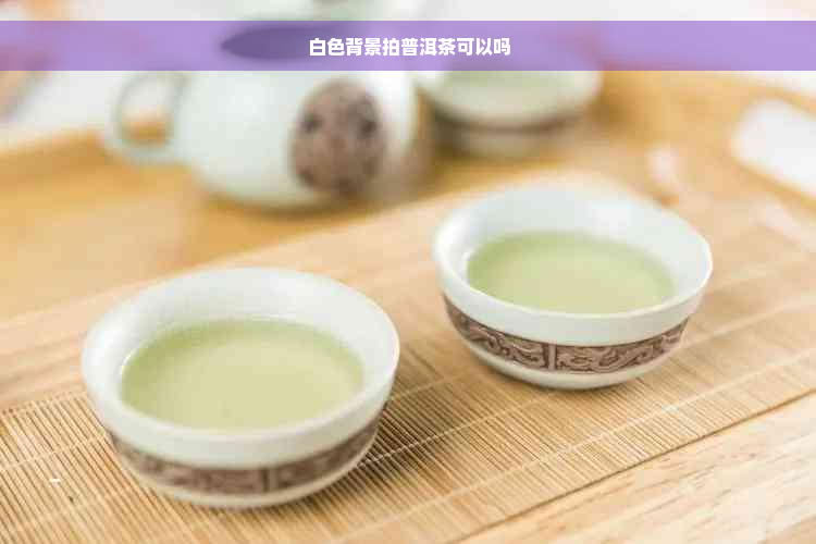 白色背景拍普洱茶可以吗