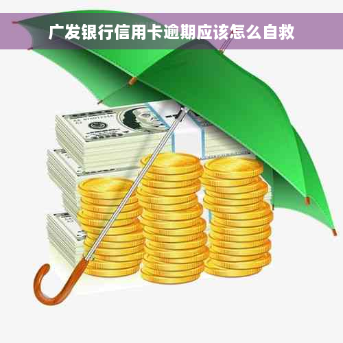 广发银行信用卡逾期应该怎么自救