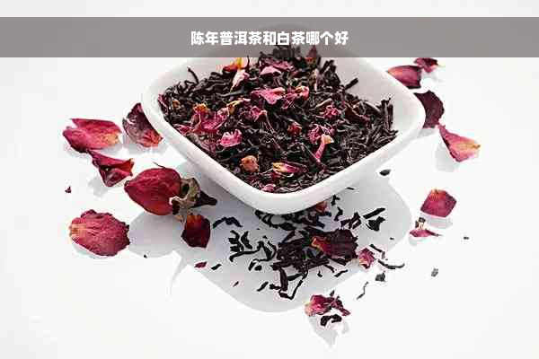 陈年普洱茶和白茶哪个好