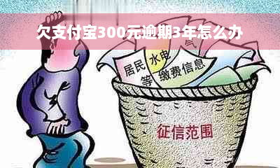 欠支付宝300元逾期3年怎么办