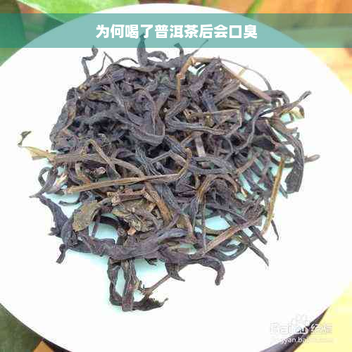 为何喝了普洱茶后会口臭