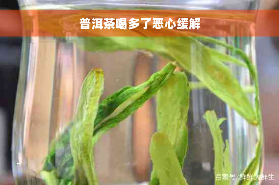 普洱茶喝多了恶心缓解