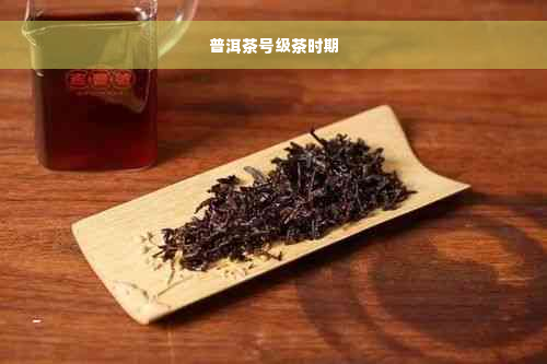 普洱茶号级茶时期