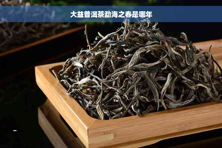 大益普洱茶勐海之春是哪年