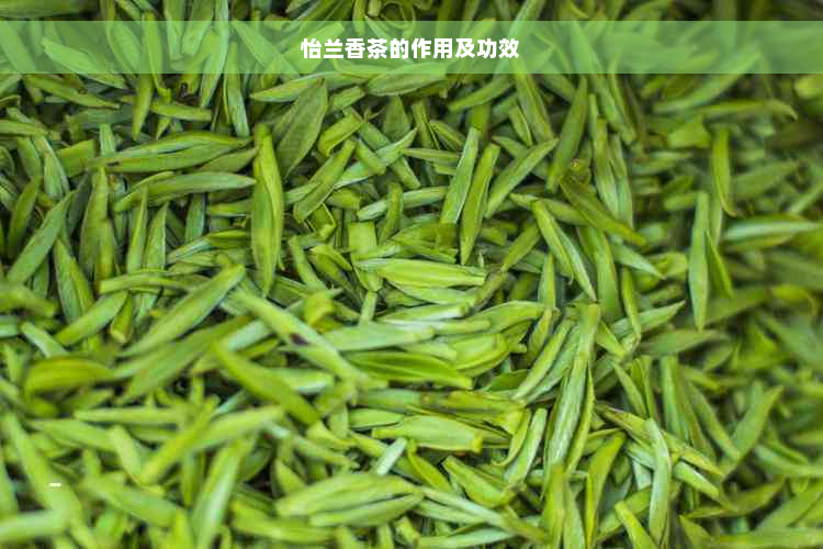 怡兰香茶的作用及功效