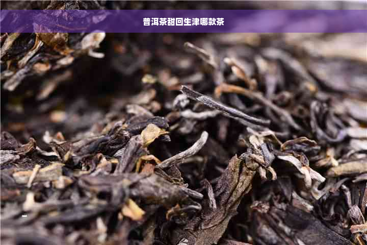 普洱茶甜回生津哪款茶