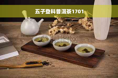 五子登科普洱茶1701