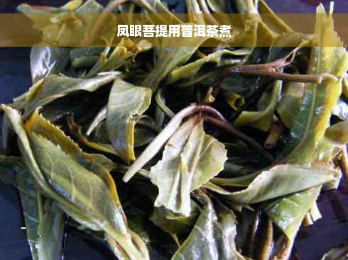 凤眼菩提用普洱茶煮