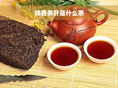 陈香茶叶是什么茶