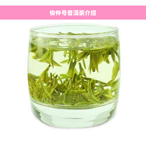 俊仲号普洱茶介绍