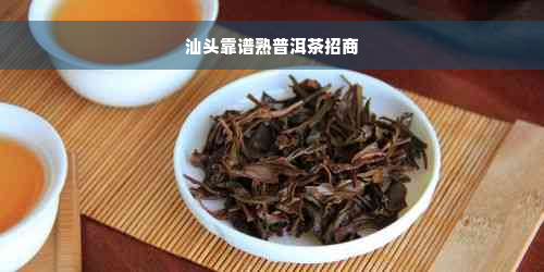 汕头靠谱熟普洱茶招商