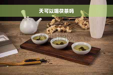 天可以喝茯茶吗