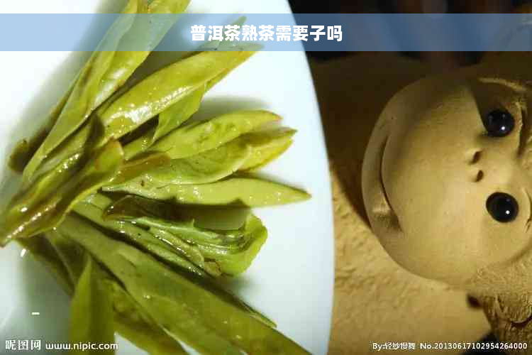 普洱茶熟茶需要子吗