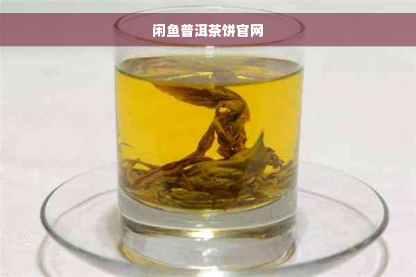 闲鱼普洱茶饼官网