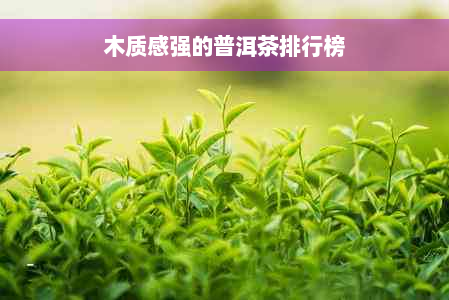 木质感强的普洱茶排行榜