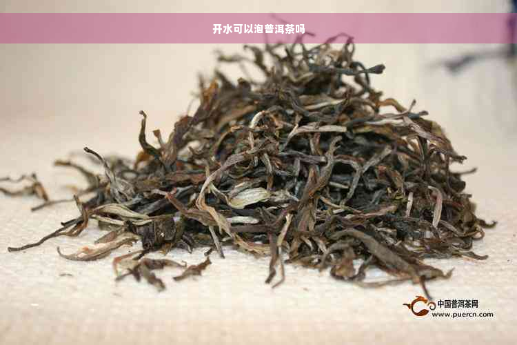 开水可以泡普洱茶吗