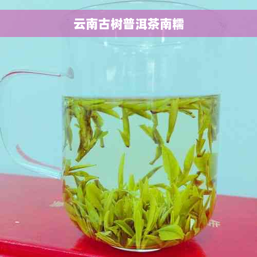 云南古树普洱茶南糯