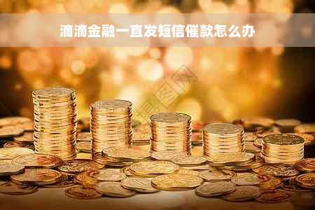 滴滴金融一直发短信催款怎么办