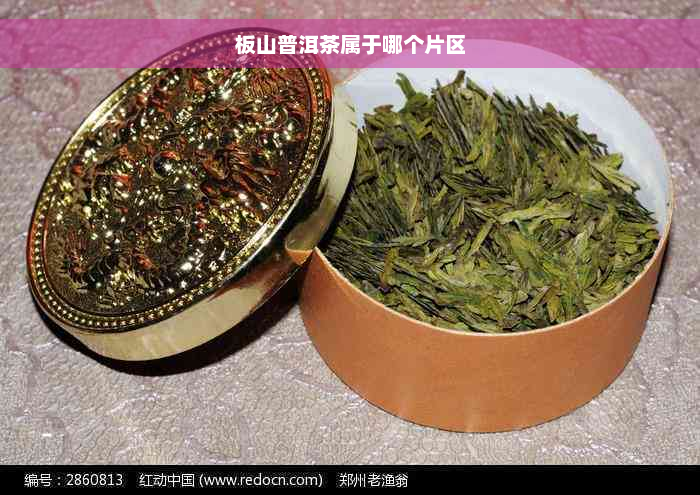 板山普洱茶属于哪个片区