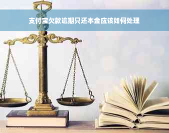 支付宝欠款逾期只还本金应该如何处理