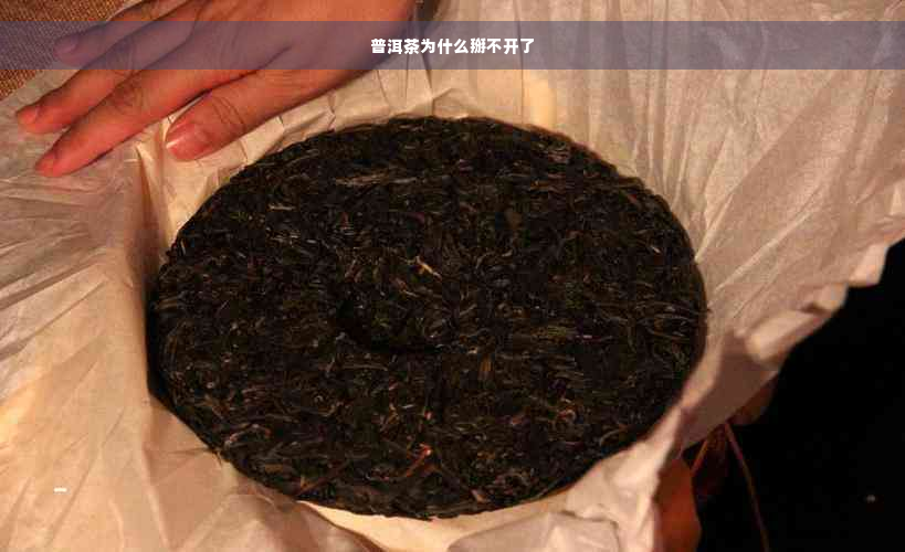 普洱茶为什么掰不开了