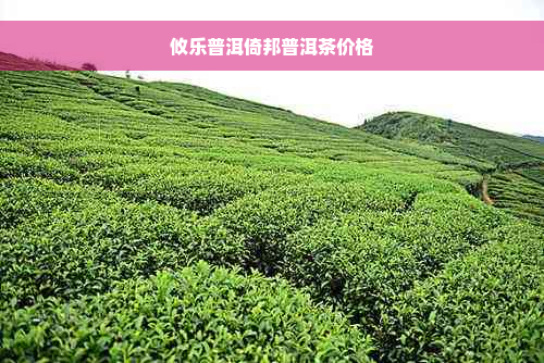 攸乐普洱倚邦普洱茶价格